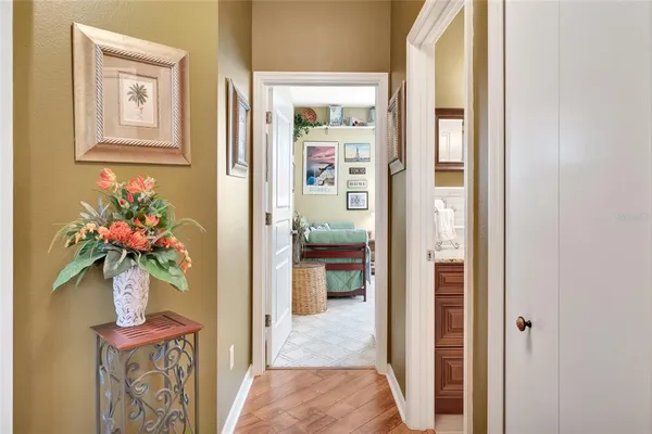 a view of a hallway and a potted plant