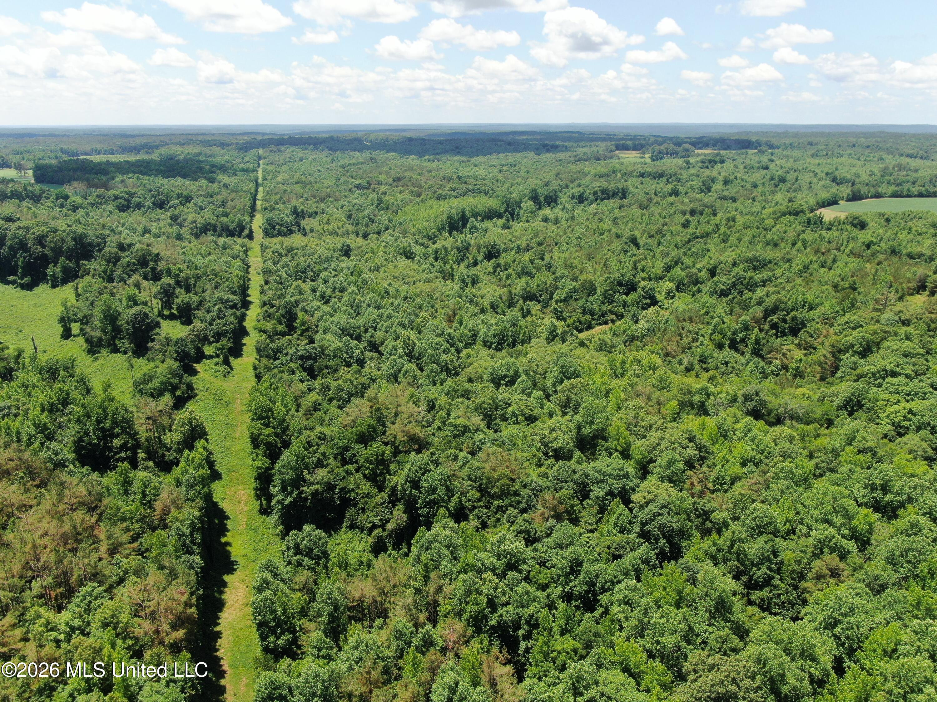 0 Scruggs Road Holly Springs, MS 38635 - Photo 5 of 25 DJI_0032