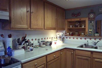 11040 Gilbert Road Waldron, MI 49288 - Photo 3 of 12 Additional Photo