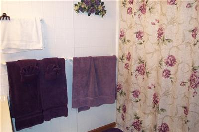 11040 Gilbert Road Waldron, MI 49288 - Photo 6 of 12 Additional Photo