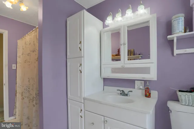 a bathroom with a sink vanity and a mirror