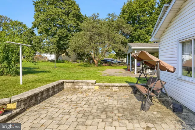 a view of a deck with a big yard potted plants and large tree