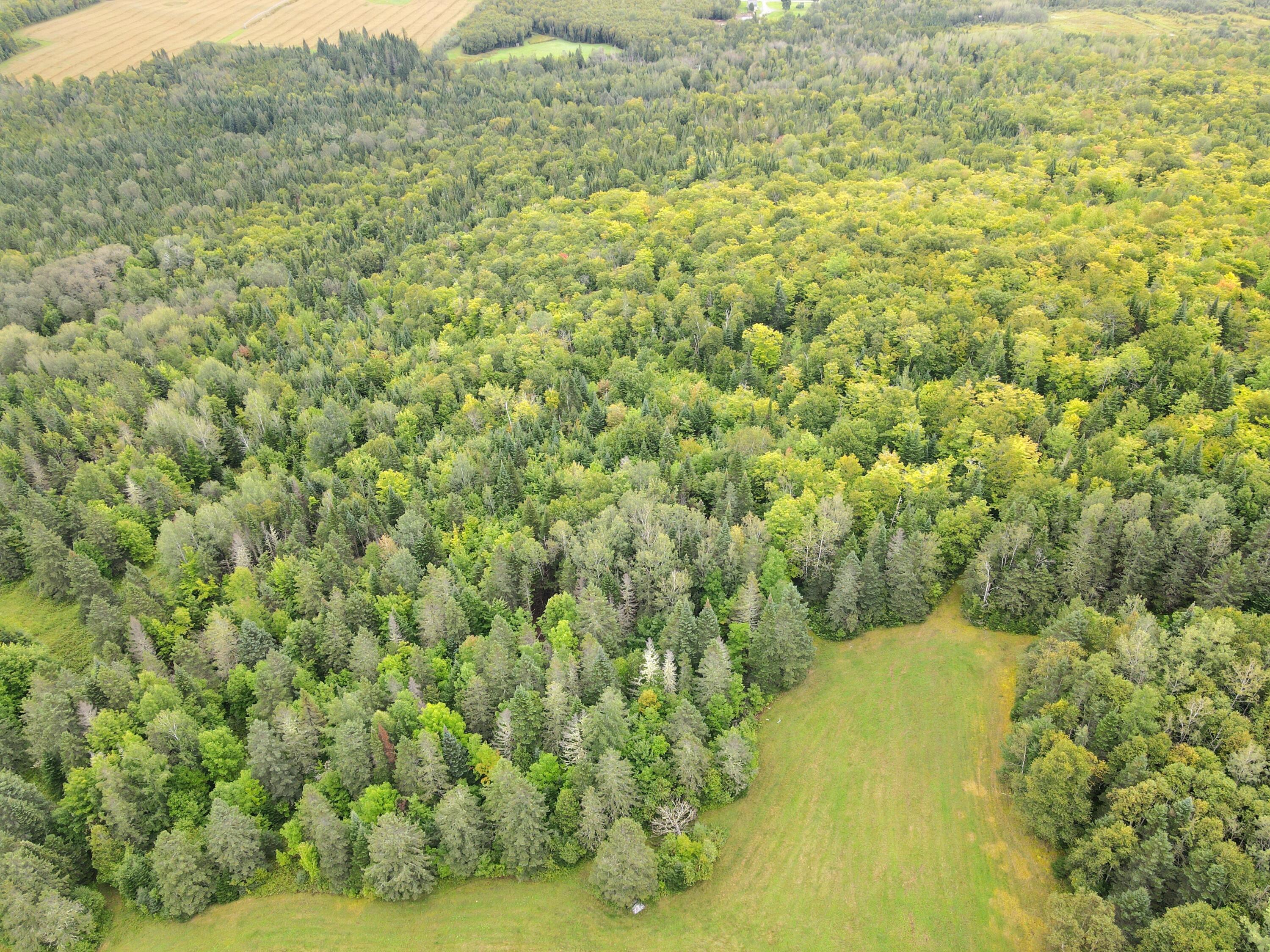 155 Rista Road New Sweden, ME 04762 - Photo 29 of 91 dji_fly_20230912_152254_680_169454820029