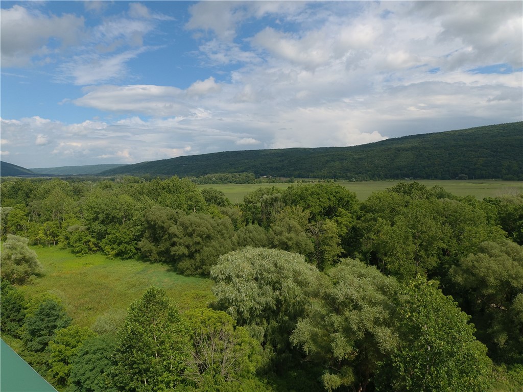 7821 State Rte 21 Naples, NY 14512 - Photo 21 of 27