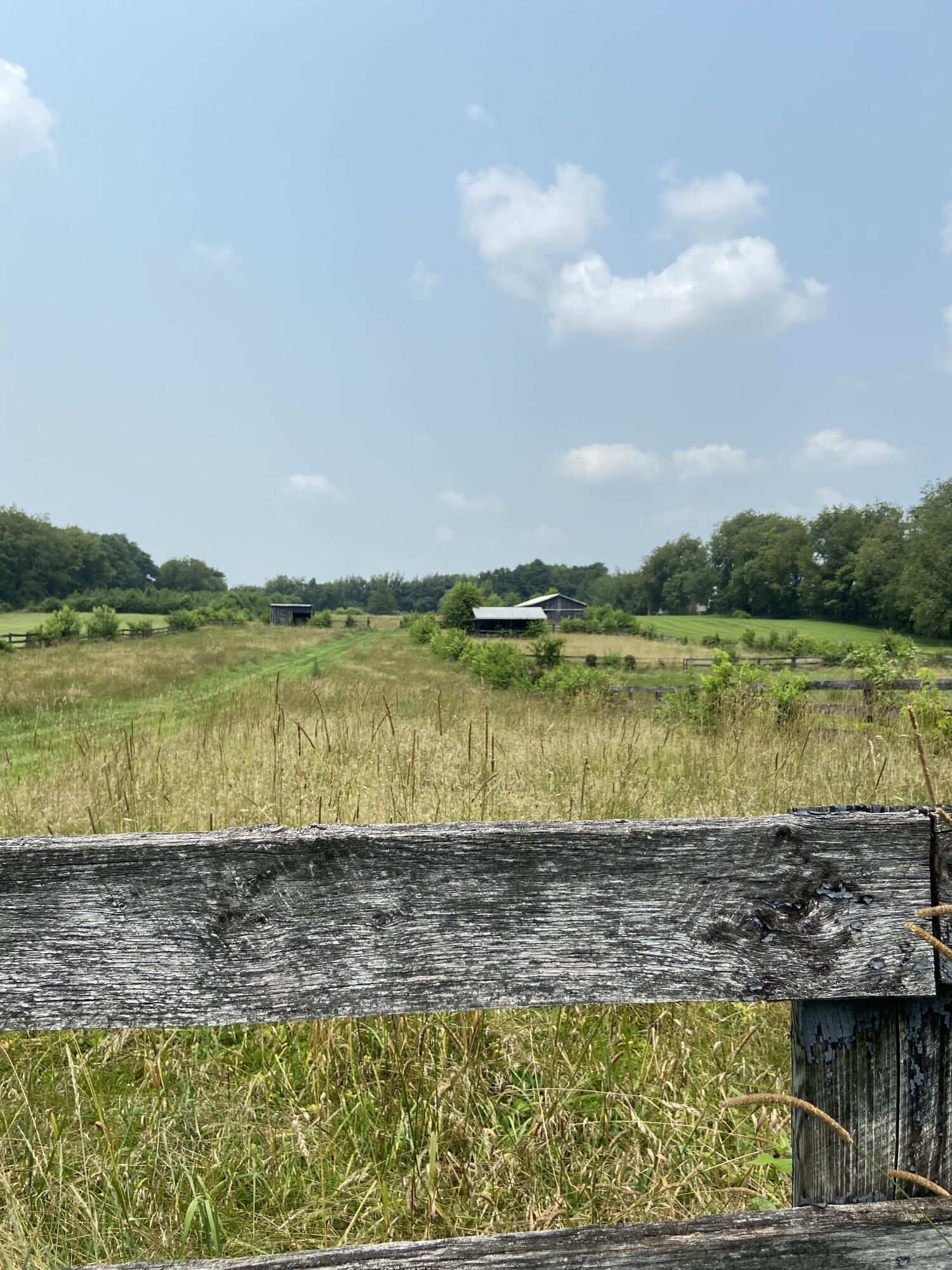 6529 Clays Mill Road Nicholasville, KY 40356 - Photo 6 of 6 2021-07-20 13.12.53