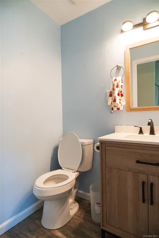 a bathroom with a toilet a sink and mirror