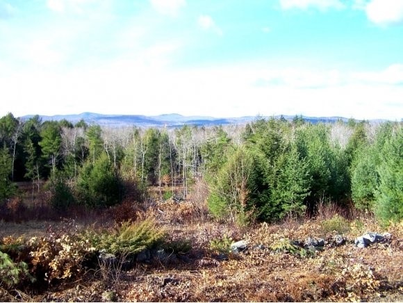 Lot 24 Codman Hill Road Deering, NH 03244 - Photo 1 of 1