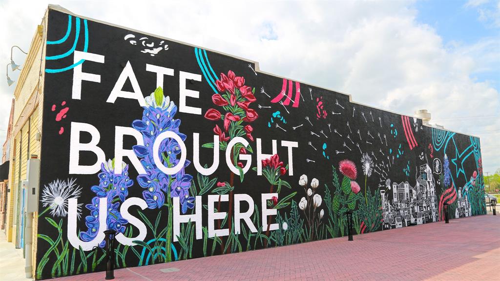 3507 Riley Street Fate, TX 75087 - Photo 10 of 15