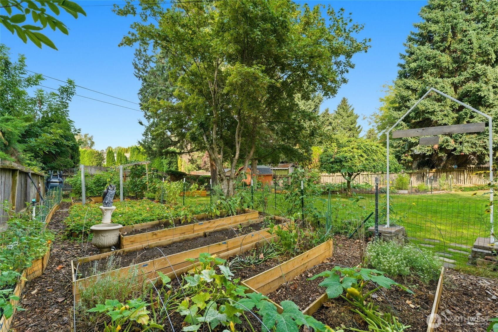 945 Frazier Drive Walla Walla, WA 99362 - Photo 13 of 38 a view of a park with large trees