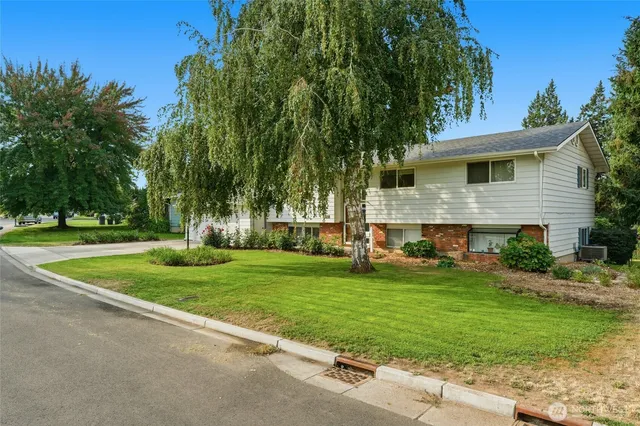 a view of a house with a yard and palm trees