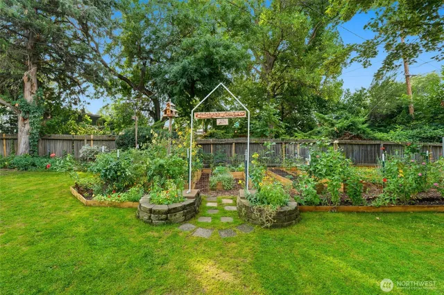 a small garden covered with trees