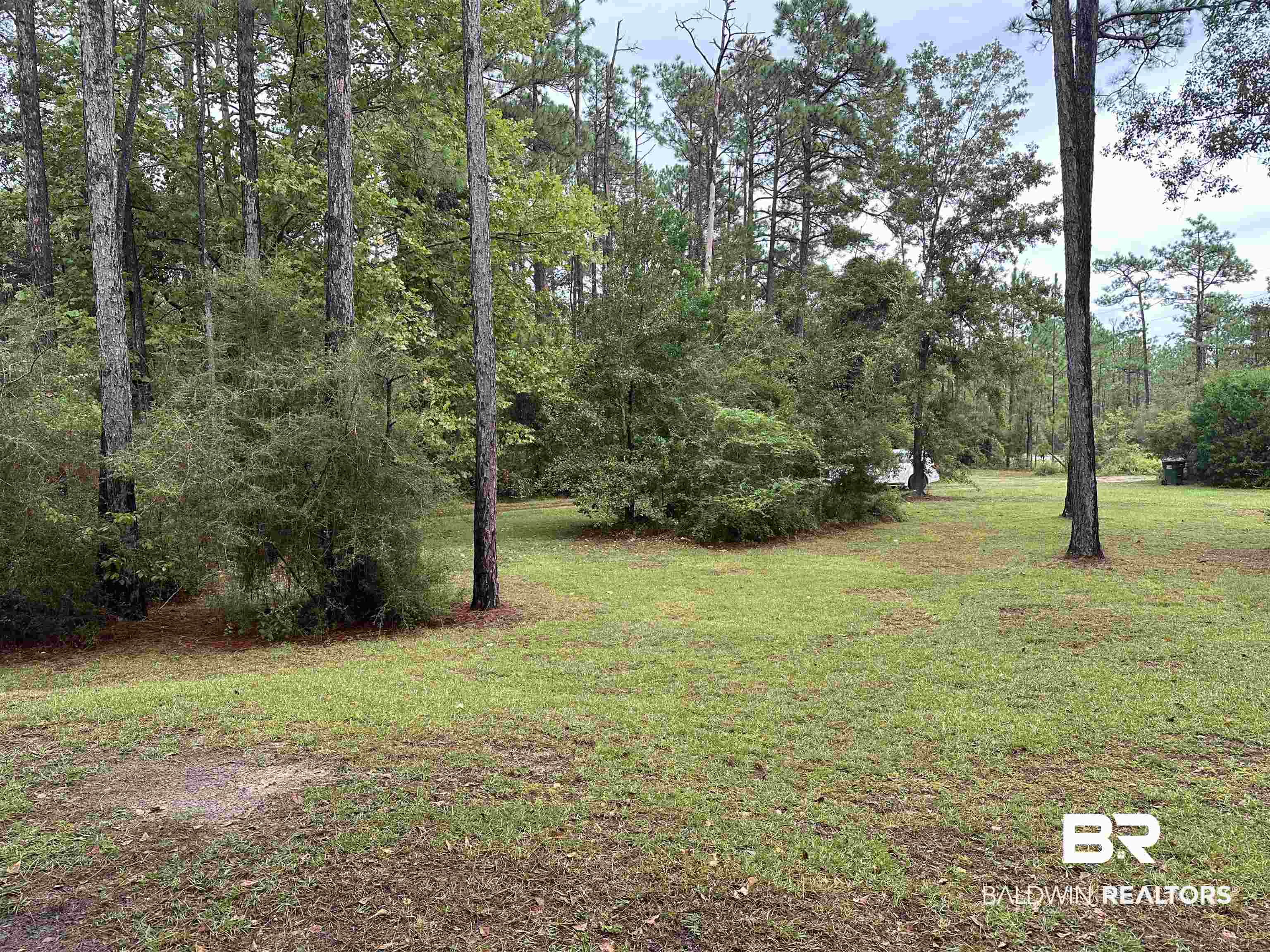 23417 Swift Road Elberta, AL 36530 - Photo 6 of 6