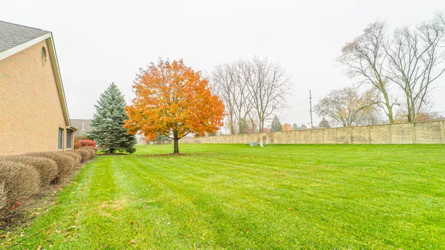 a view of backyard with outdoor space