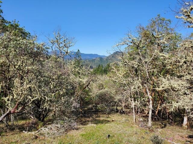 0 North Applegate Road Grants Pass, OR 97527 - Photo 6 of 14 20210405213857268789000000-o