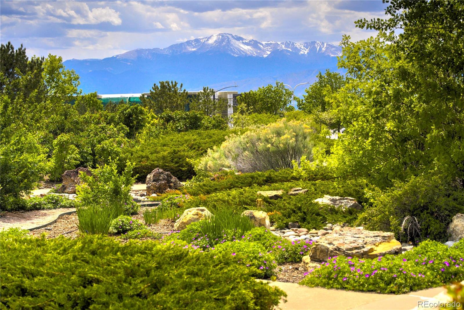 4970 Rabbit Mountain Court Colorado Springs, CO 80924 - Photo 50 of 50 a view of a houses with a yard