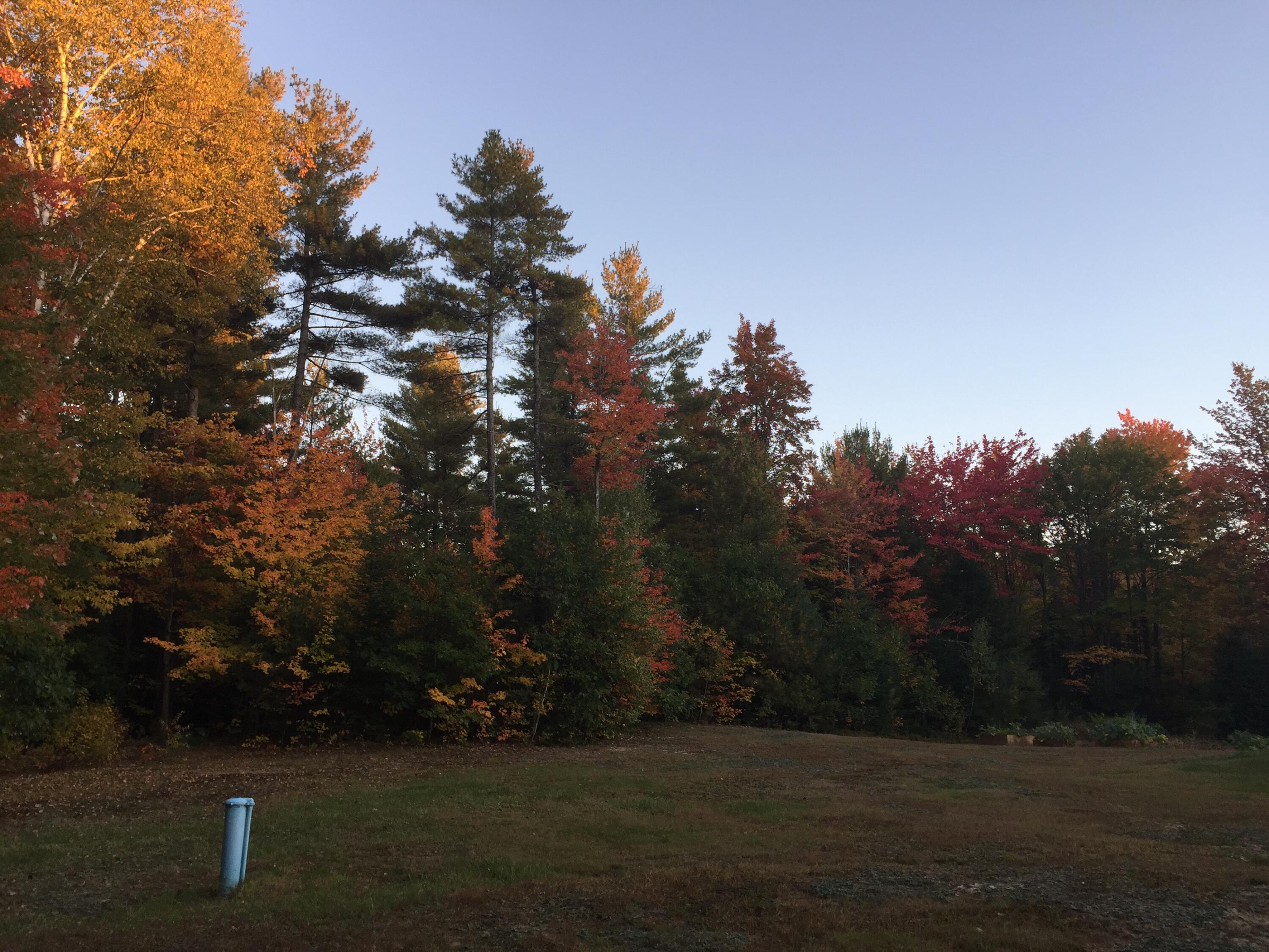 263 Elm Street Mercer, ME 04957 - Photo 15 of 34 IMG_0317