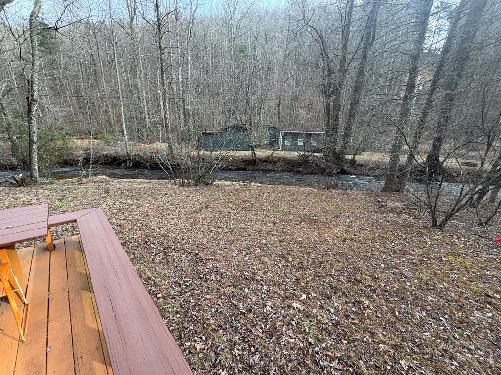 14092 Big Creek Road Cherry Log, GA 30522 - Photo 17 of 50