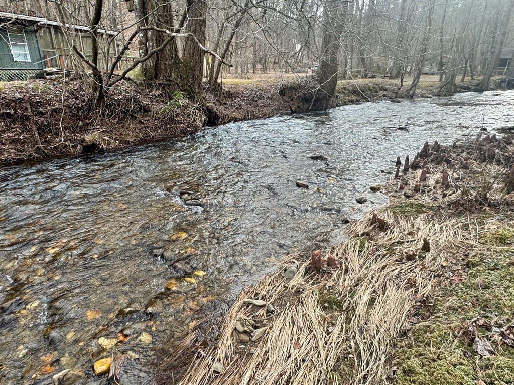 14092 Big Creek Road Cherry Log, GA 30522 - Photo 2 of 50