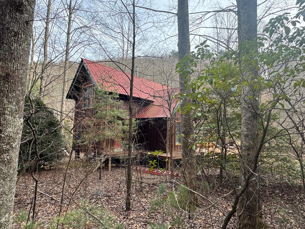 14092 Big Creek Road Cherry Log, GA 30522 - Photo 22 of 50