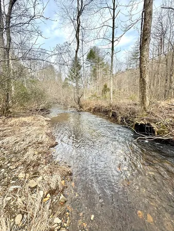 $524,500 | 14092 Big Creek Road, Cherry Log, GA 30522