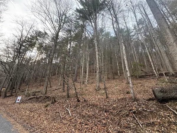 $524,500 | 14092 Big Creek Road, Cherry Log, GA 30522