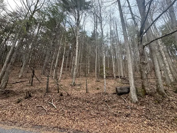 $524,500 | 14092 Big Creek Road, Cherry Log, GA 30522