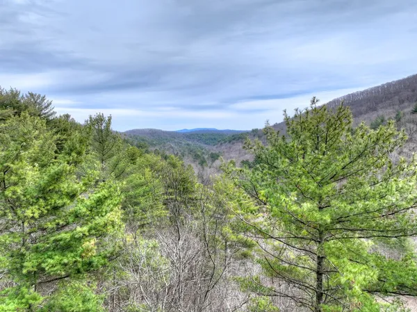 $524,500 | 14092 Big Creek Road, Cherry Log, GA 30522