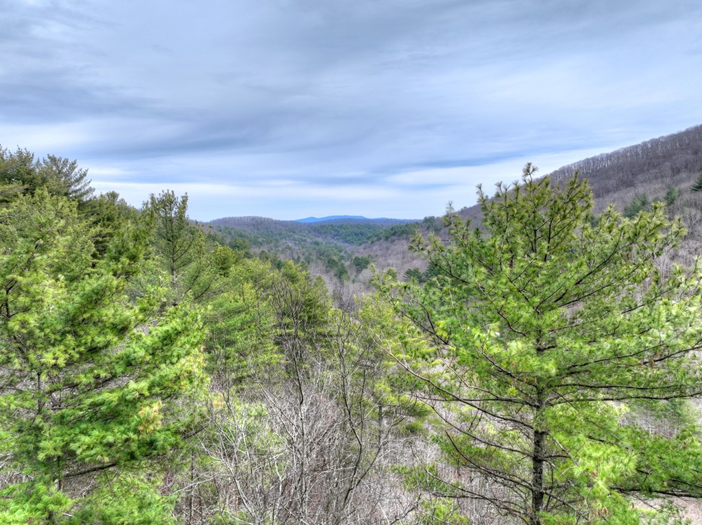 14092 Big Creek Road Cherry Log, GA 30522 - Photo 49 of 50