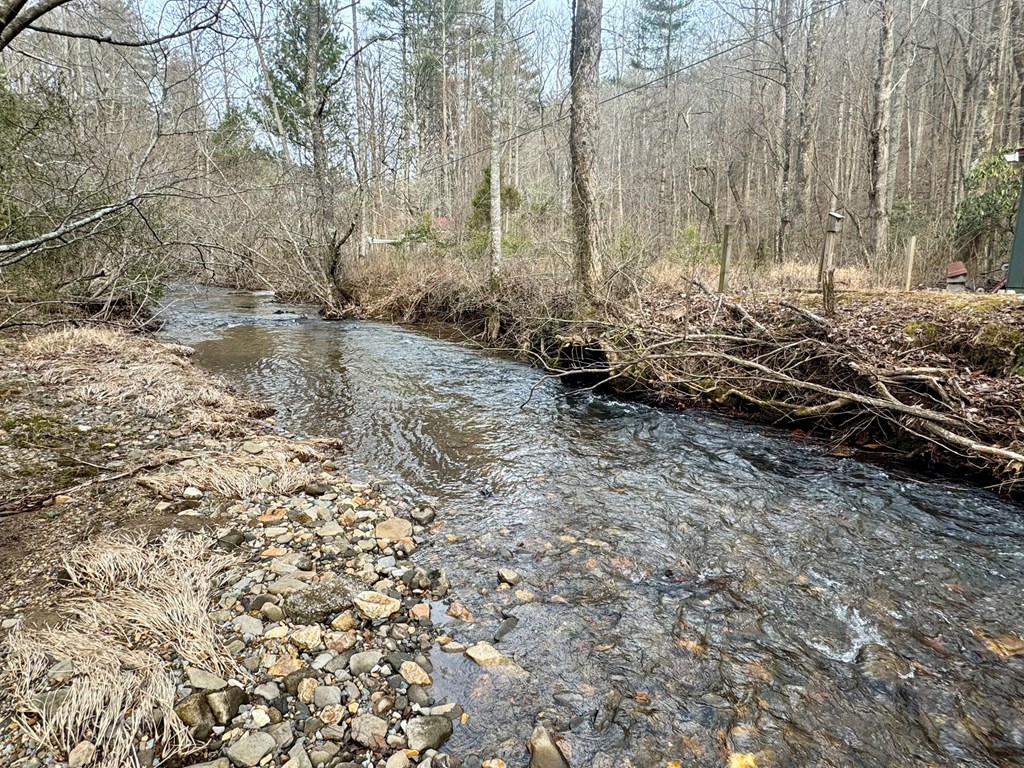 14092 Big Creek Road Cherry Log, GA 30522 - Photo 5 of 50