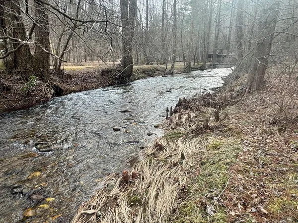 $524,500 | 14092 Big Creek Road, Cherry Log, GA 30522