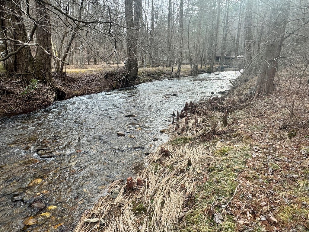 14092 Big Creek Road Cherry Log, GA 30522 - Photo 8 of 50