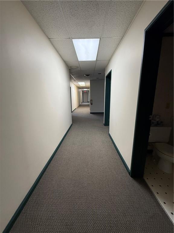 840 Philadelphia Street Indiana, PA 15701 - Photo 8 of 22 Hallway to all Suites