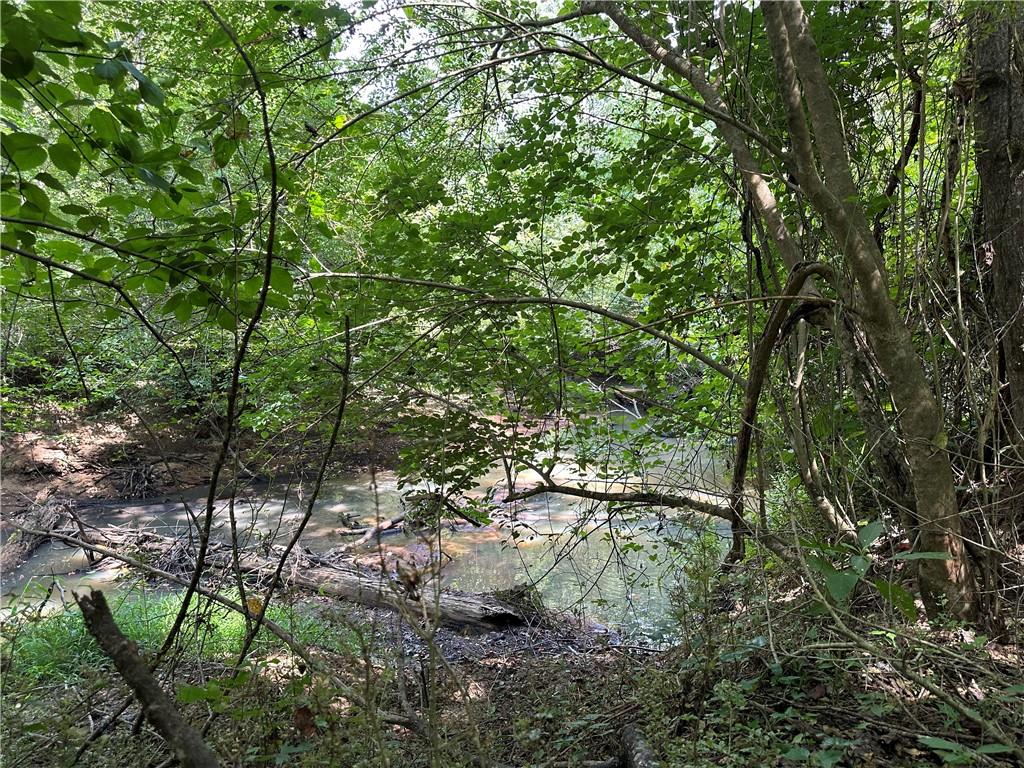 9374 High Point Road Villa Rica, GA 30180 - Photo 12 of 13 a view of a tree in a garden
