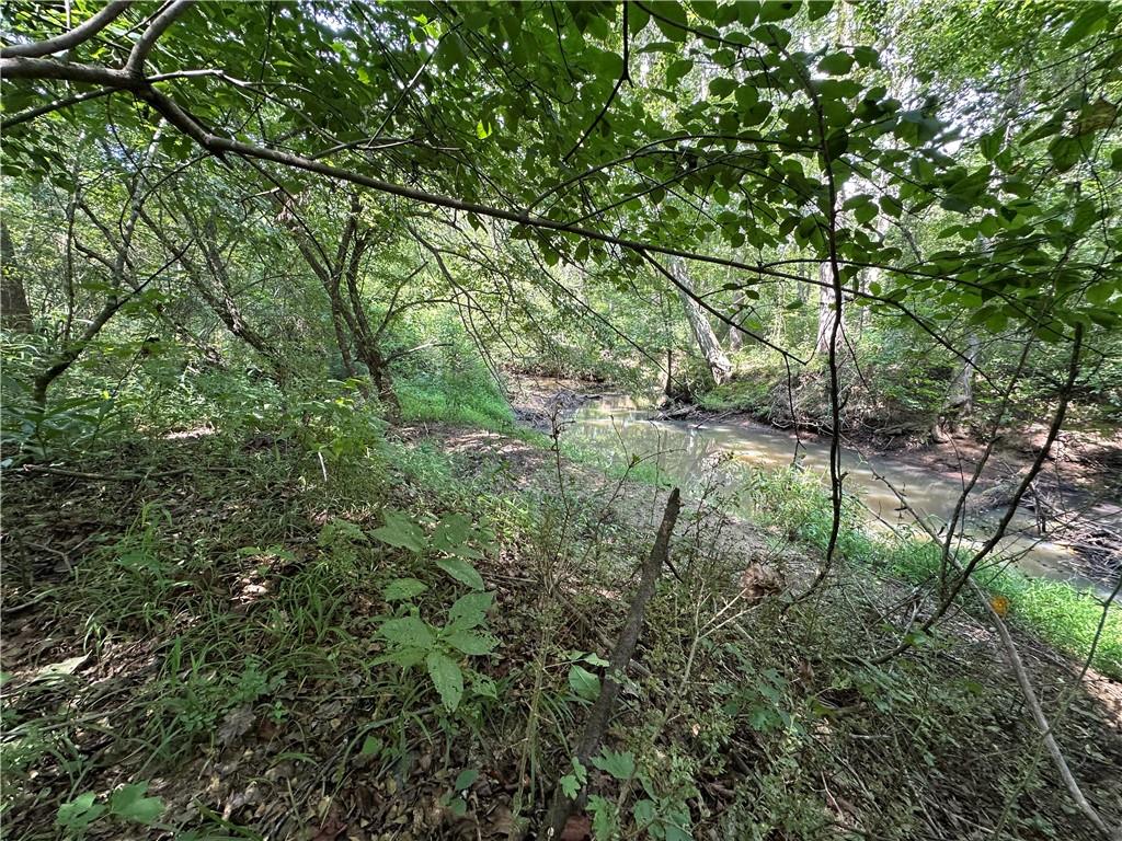 9374 High Point Road Villa Rica, GA 30180 - Photo 13 of 13 a view of a forest with a tree