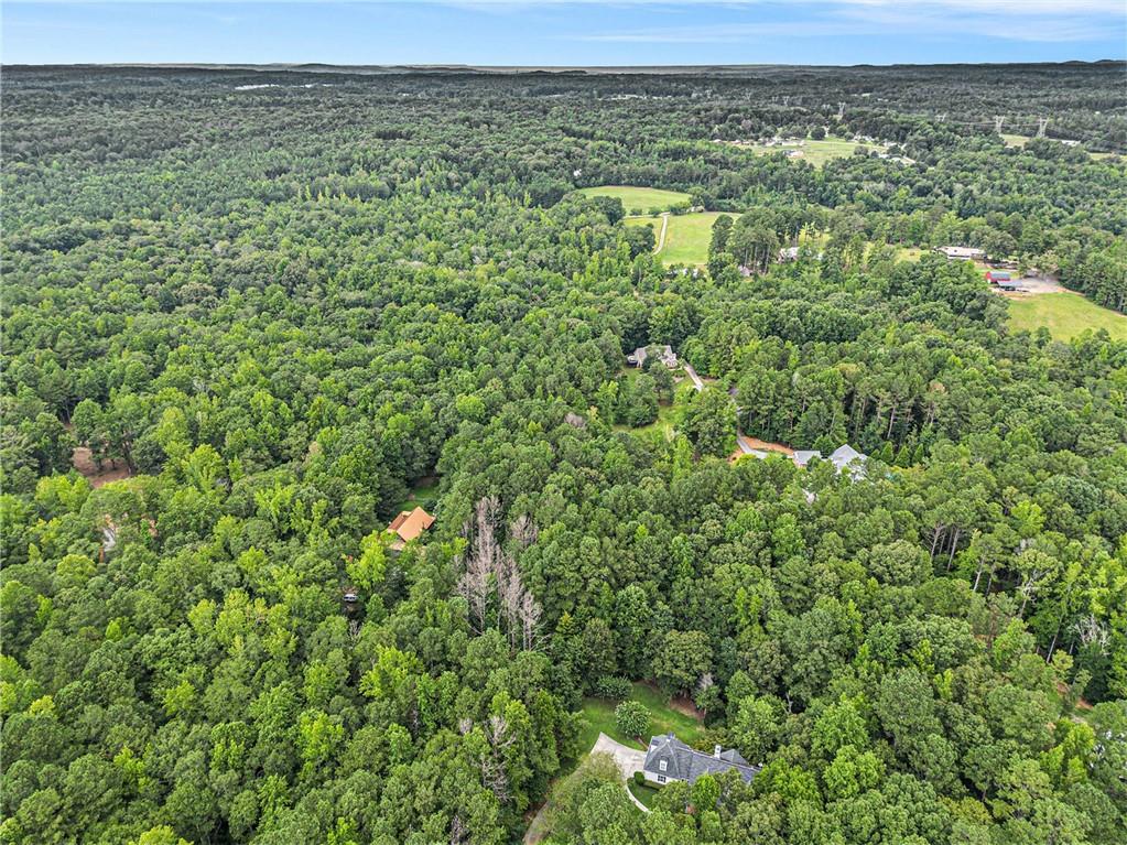 9374 High Point Road Villa Rica, GA 30180 - Photo 8 of 13 a view of a green field with lots of bushes