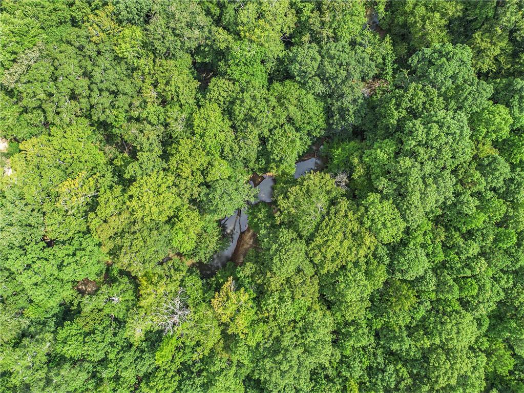 9374 High Point Road Villa Rica, GA 30180 - Photo 9 of 13 a view of a lush green forest