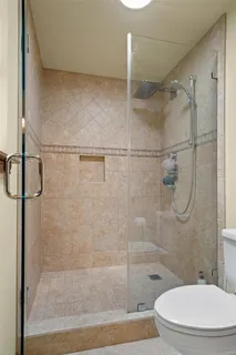a bathroom with a shower and a toilet