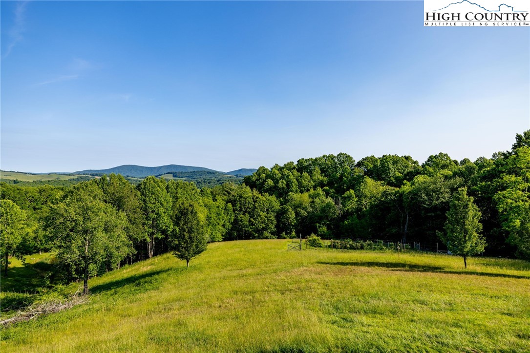 347 Hickory Mountain Road Sparta, NC 28675 - Photo 4 of 50 Gallery Image 4