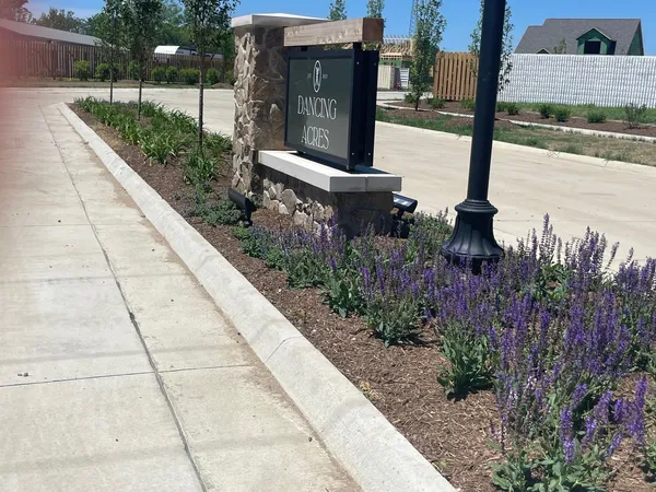 a view of a pathway both side of building