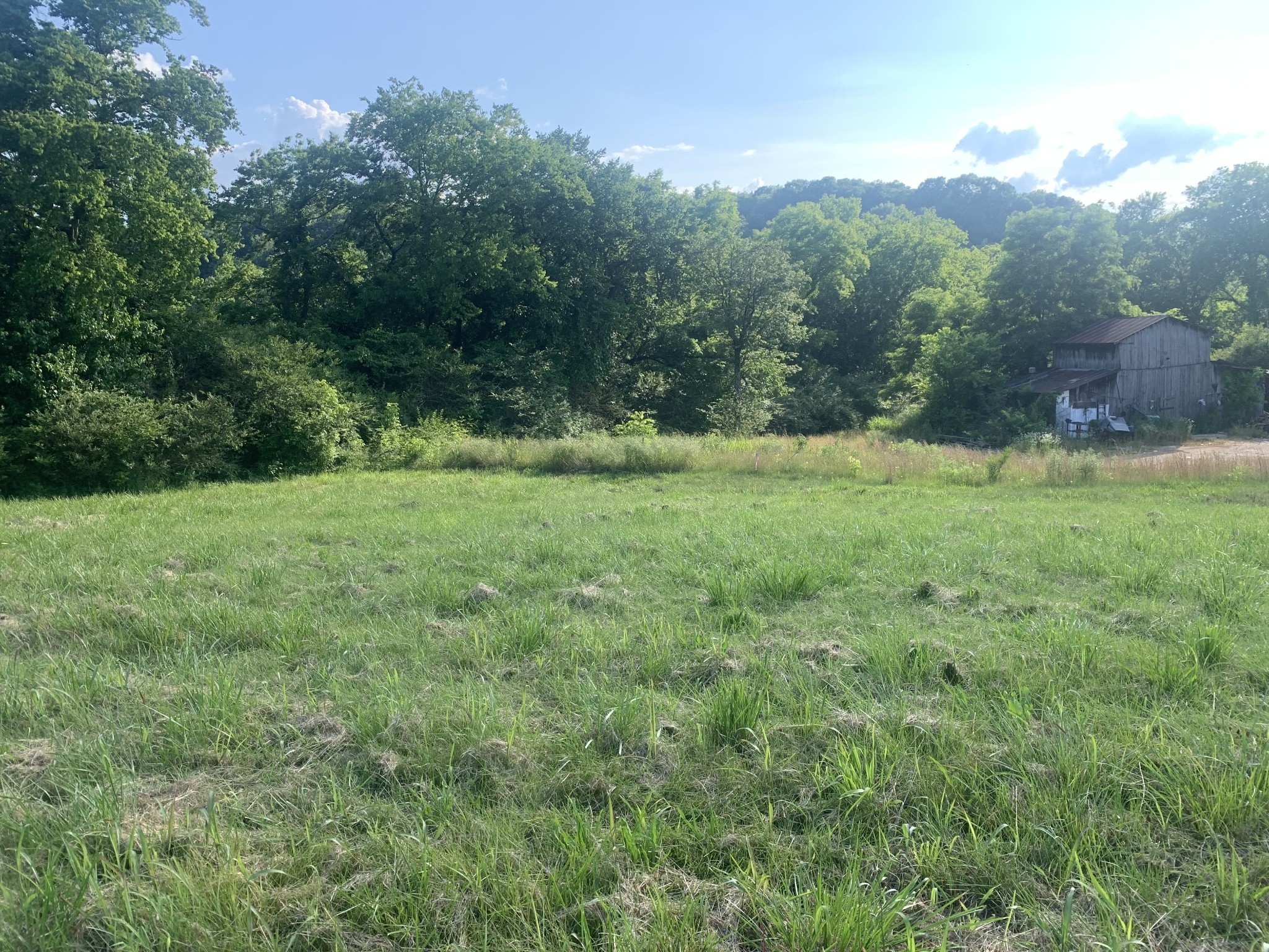 0 Johnson Hill Road Mount Pleasant, TN 38474 - Photo 2 of 9 a view of grassy field with trees in the background