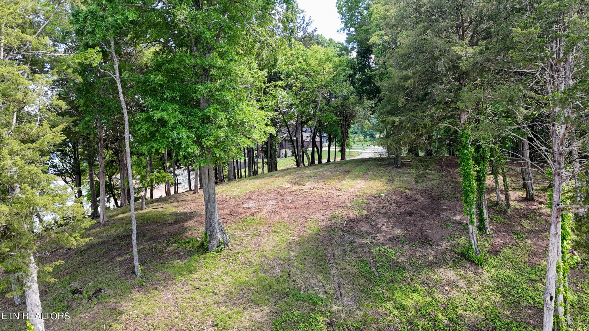 122 Ridge Point Trail Dandridge, TN 37725 - Photo 21 of 33