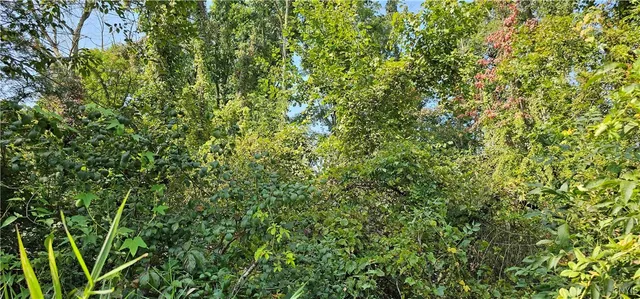 $219,000 | 0 Hickory Island, Weedsport, NY 13166