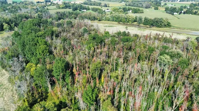 $219,000 | 0 Hickory Island, Weedsport, NY 13166