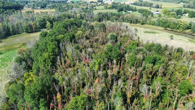 $219,000 | 0 Hickory Island, Weedsport, NY 13166