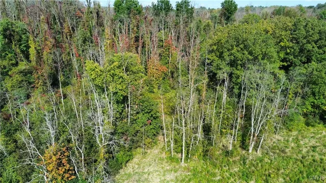 $219,000 | 0 Hickory Island, Weedsport, NY 13166