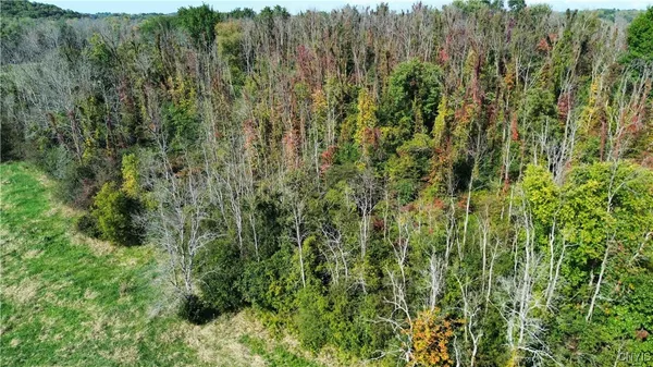 $219,000 | 0 Hickory Island, Weedsport, NY 13166