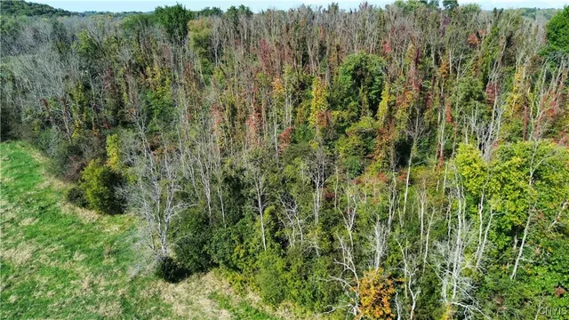 $219,000 | 0 Hickory Island, Weedsport, NY 13166