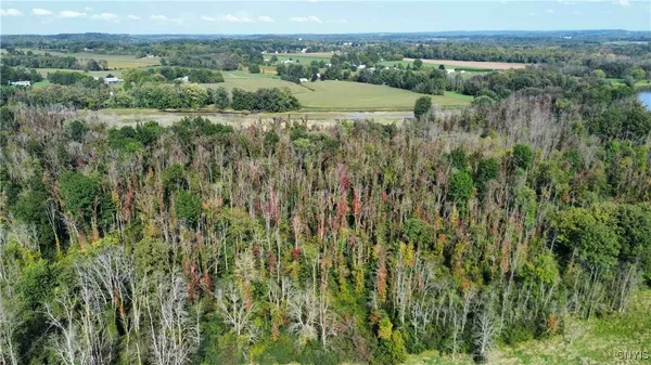 $219,000 | 0 Hickory Island, Weedsport, NY 13166