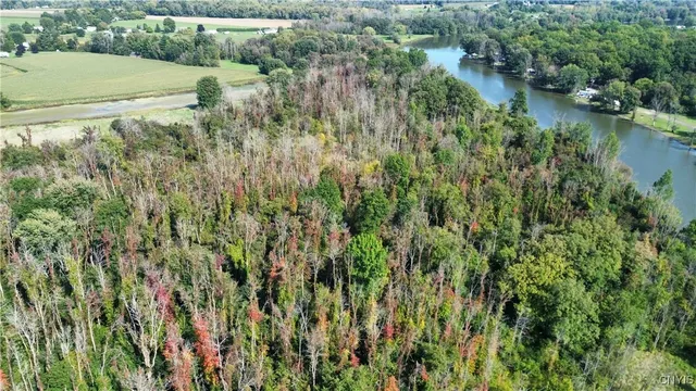 $219,000 | 0 Hickory Island, Weedsport, NY 13166