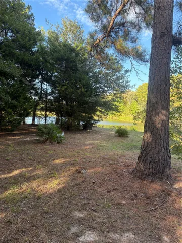 a view of a yard with a tree